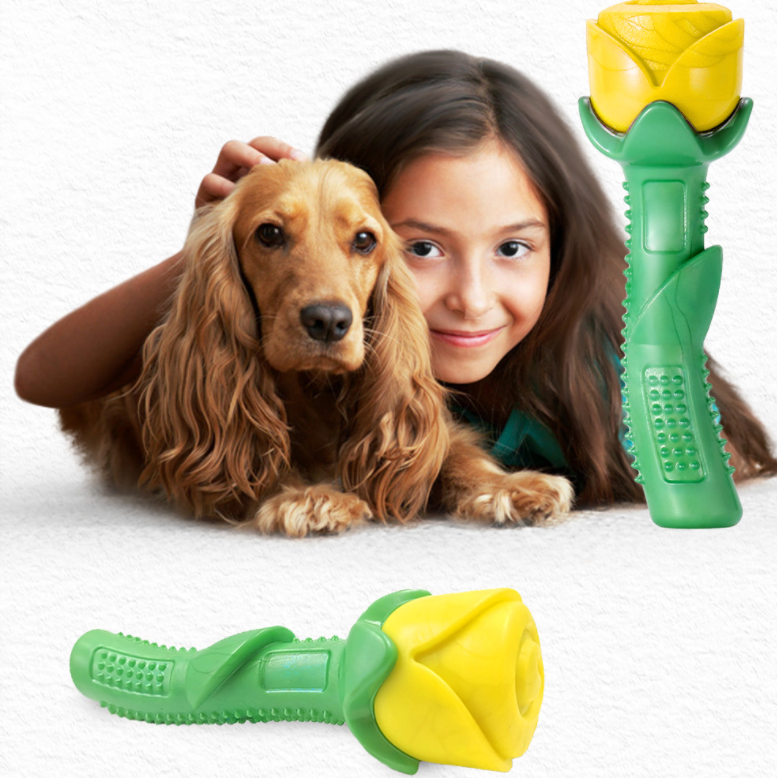Yellow Rose Dog Molar Stick
