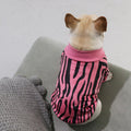 Stretch And Fleece Thick Sweater New Autumn And Winter Clothes For Young Small Dogs