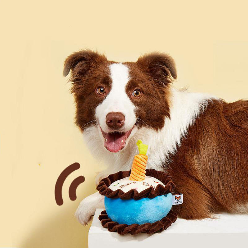 Bite-Resistant Teething Catnip Cake Toy