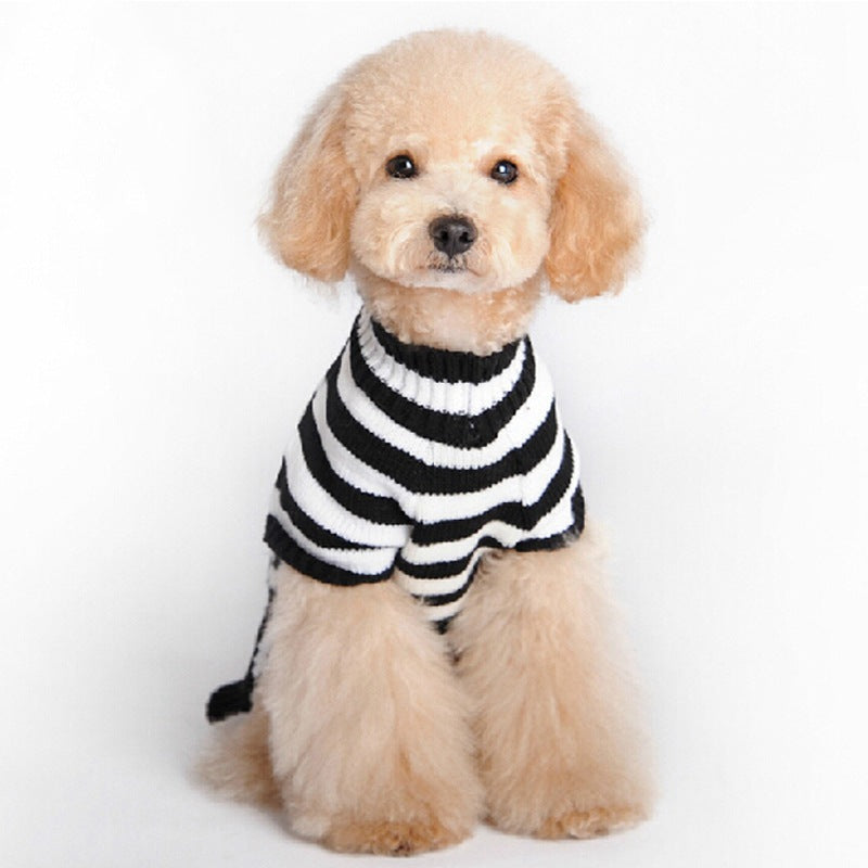 Skull Dog Halloween Sweater