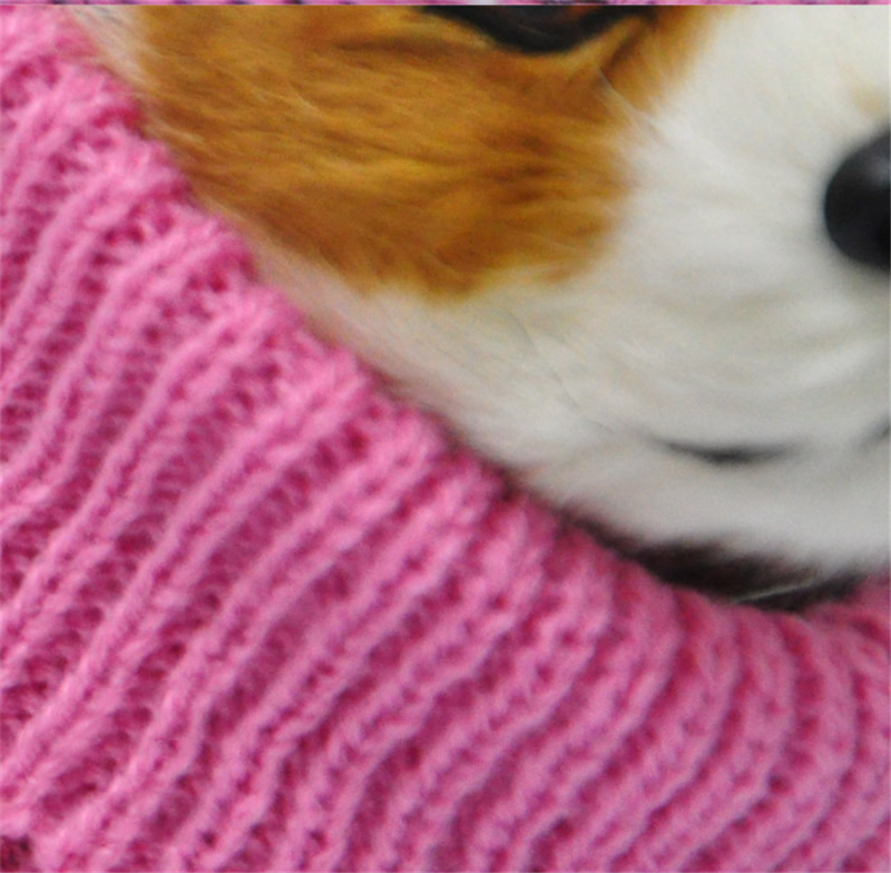 Casual Acrylic Dog Sweater