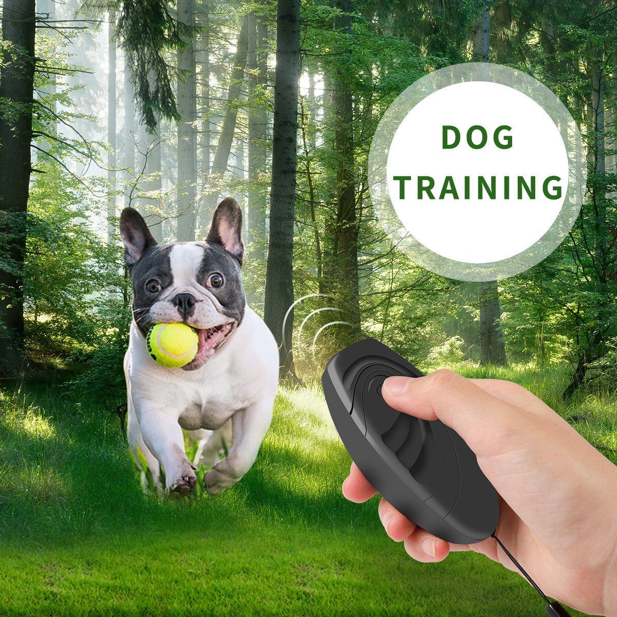 Ultrasonic Dog Trainer