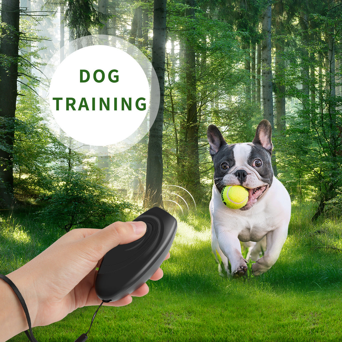 Ultrasonic Dog Trainer