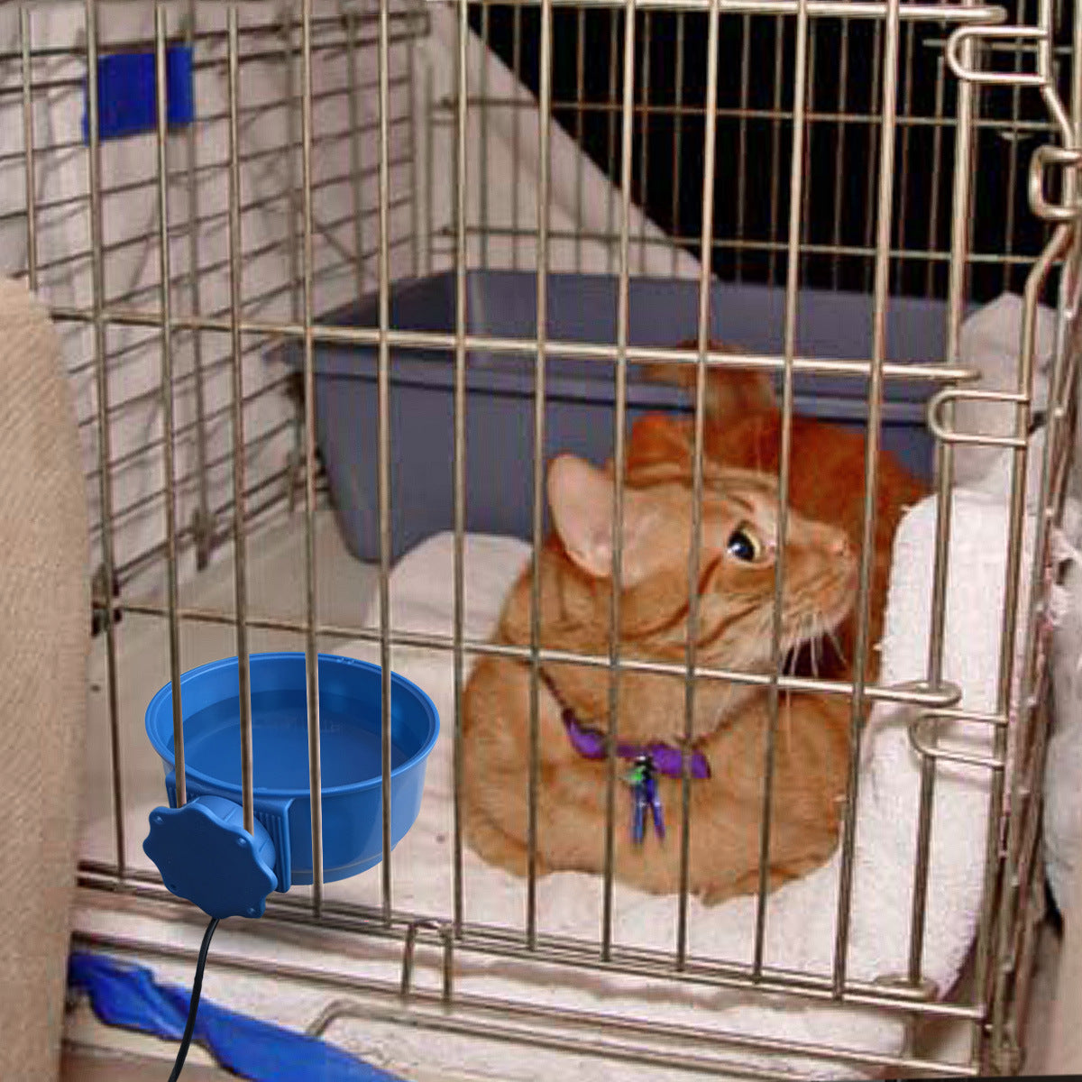 Temperature And Heat Preservation Water Bowl