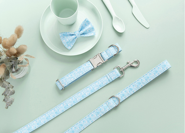 Paisley Pet Collar Leash and Bow Set