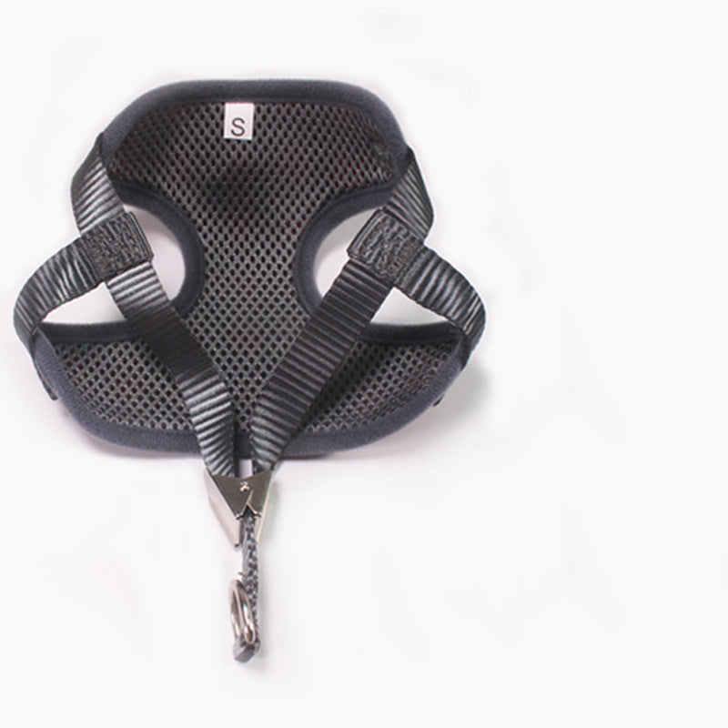 Small Dog Leash Chest Strap