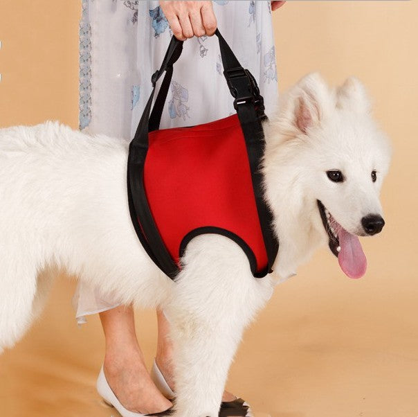 Pet Safety Protection Belt