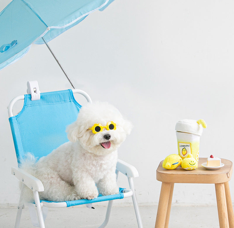 Pet Plush Voice Toy