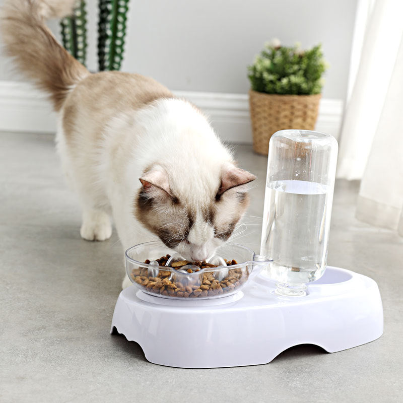 Transparent Cat Feeding and Drinking Bowl