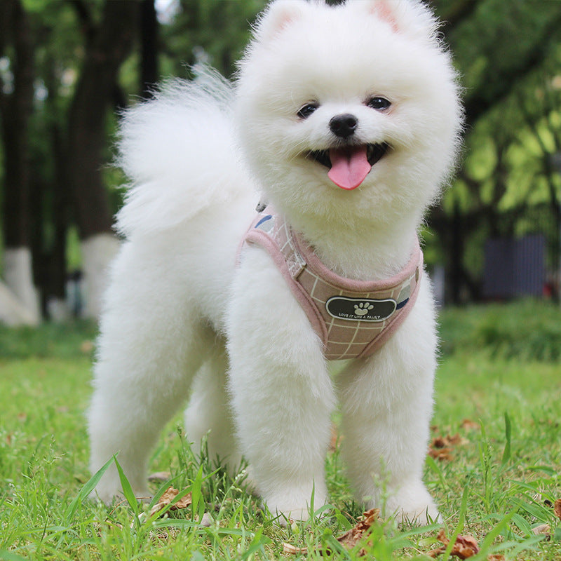 Breathable Mesh Small Dog Harness And Leash