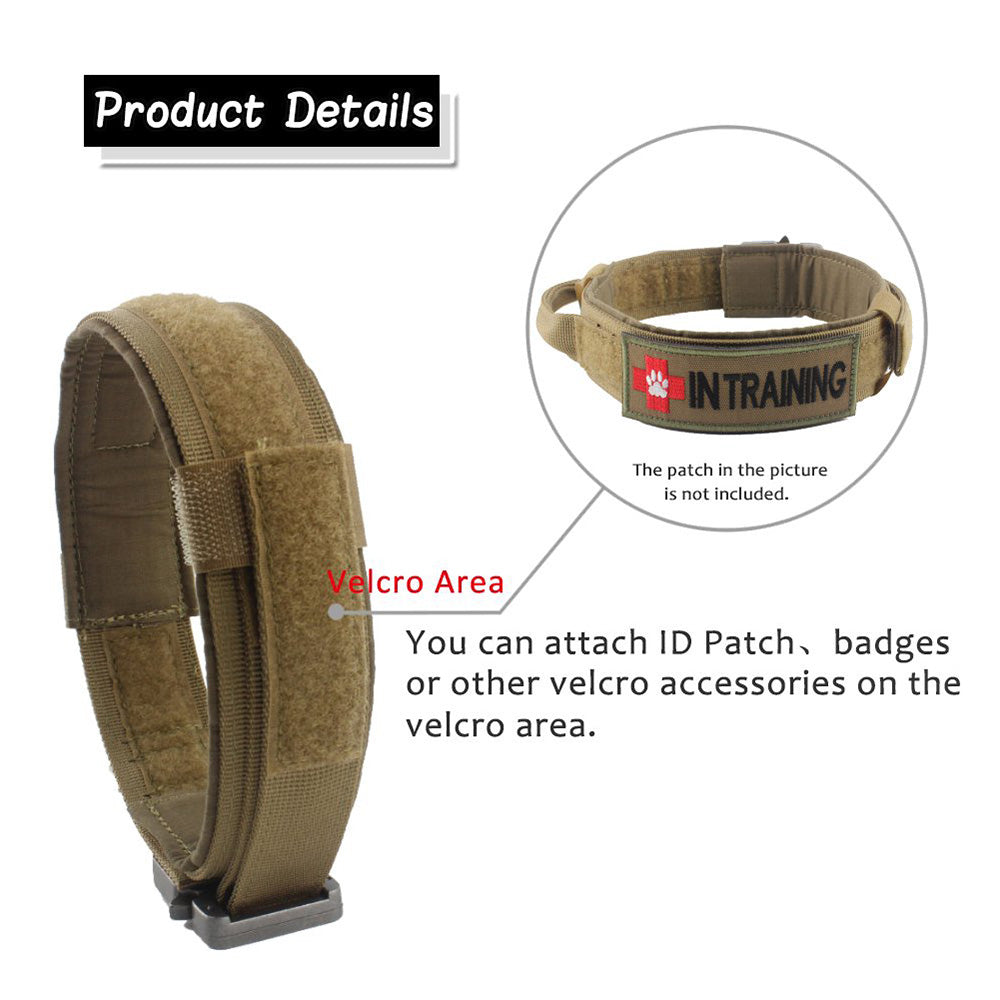 Durable Nylon Dog Collar