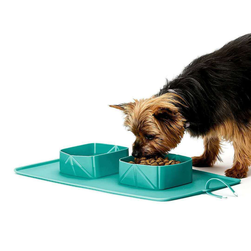 Silicone Folding Non-Slip Pet Bowl