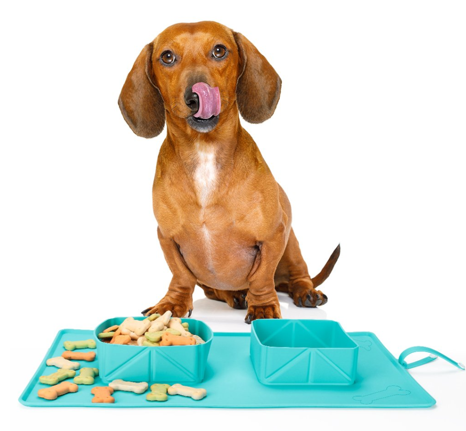 Foldable Silicone Pet Bowl