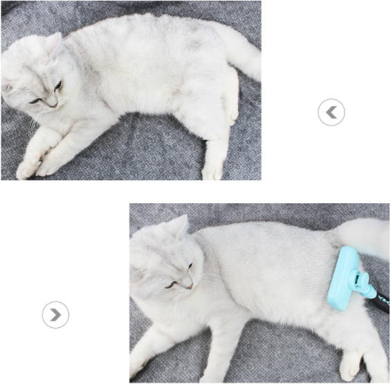 Dog Automatic Hair Removal Comb