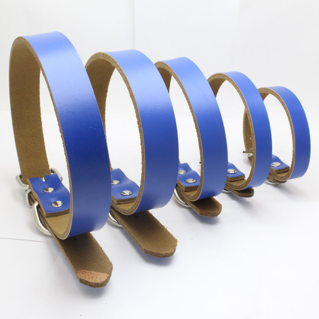 Pure Leather Pet Collar