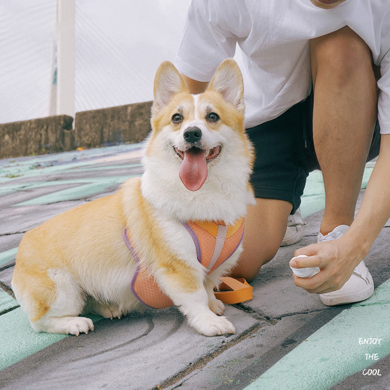 Dog Chest Strap