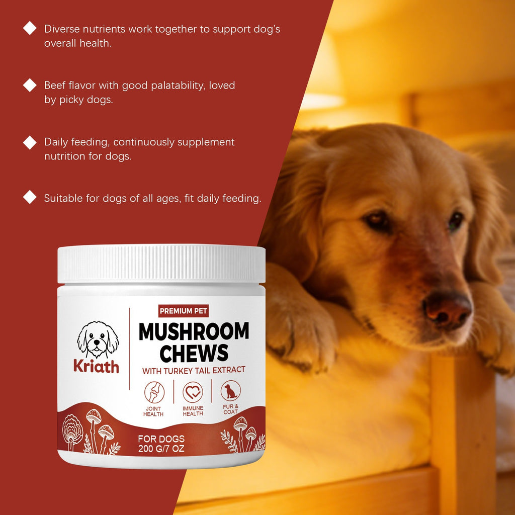 Mushroom Chewable Tablets For Dogs