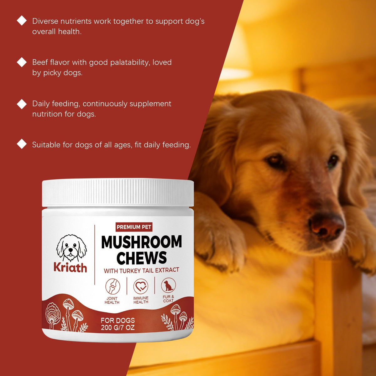 Mushroom Chewable Tablets For Dogs