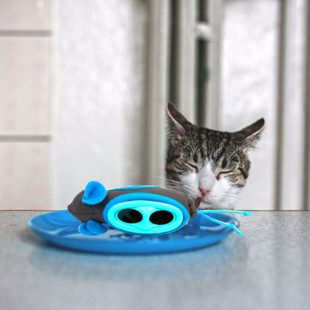 Missing Toy