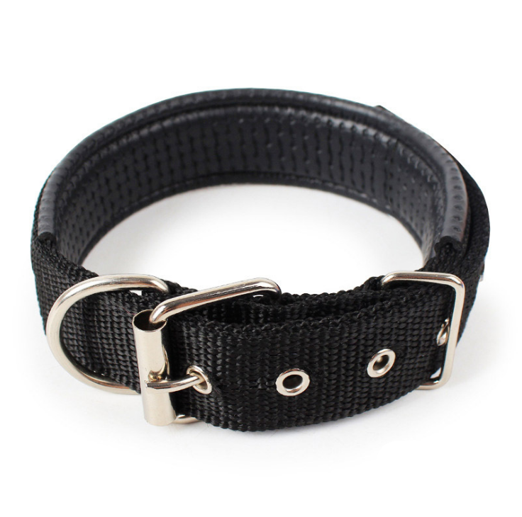 Soft Leather Lined Polypropylene Pet Collar