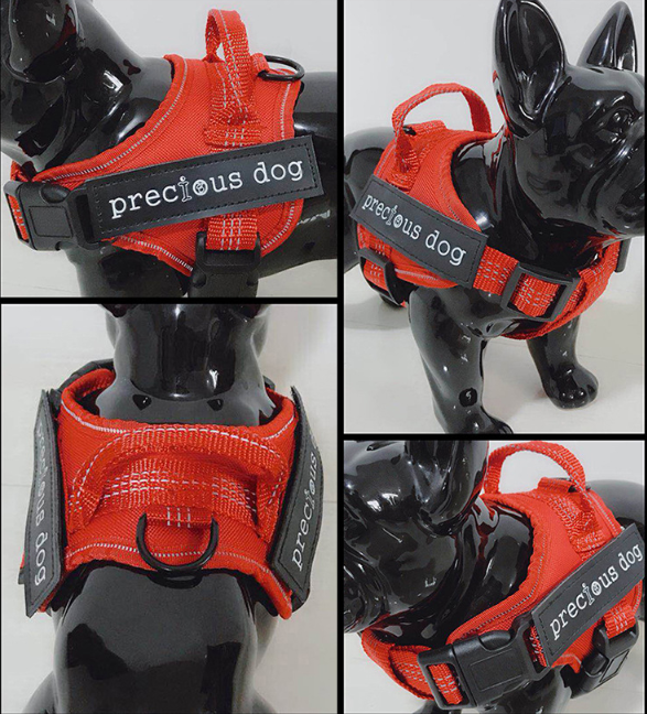 Simple Pet Harness