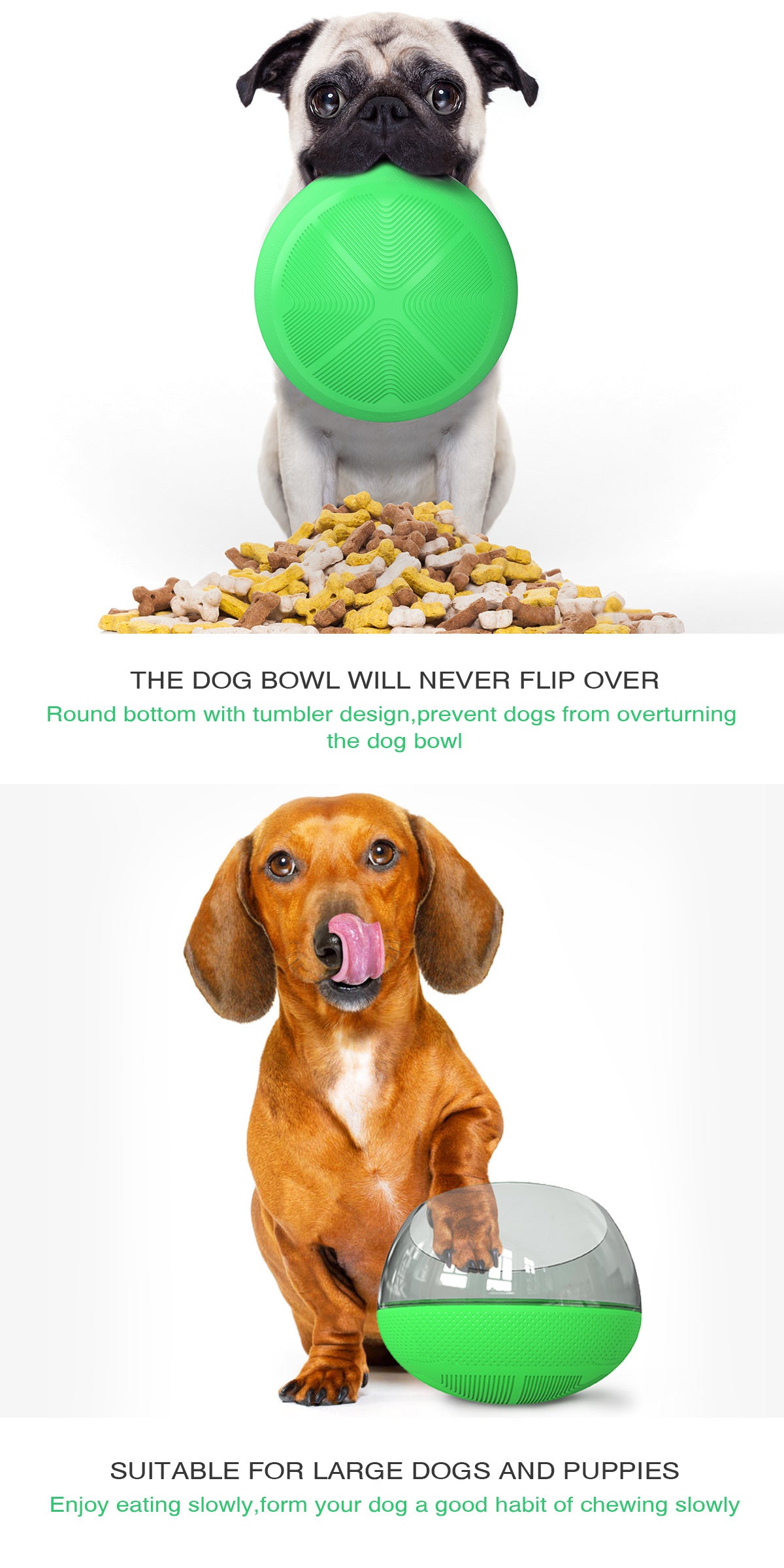 Slow Food Bowl