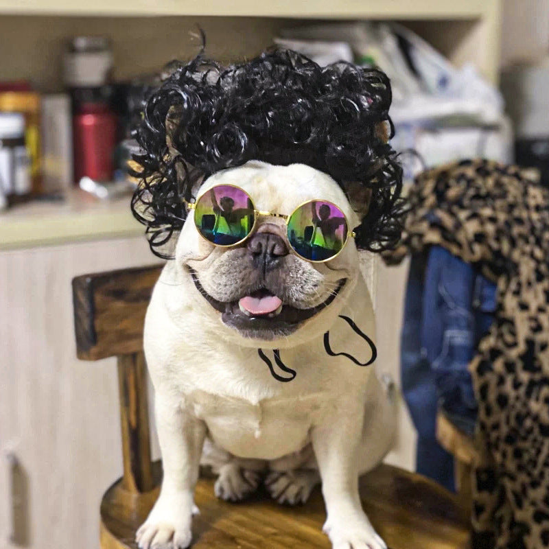 Dog Headdress And Wig Sheath