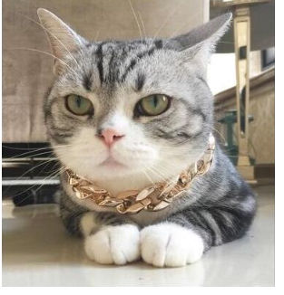 Pet Dog Jewelry Gold-Plated Necklace