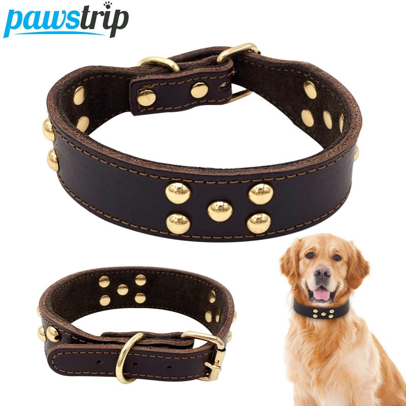 Dog Collar In Three Sizes