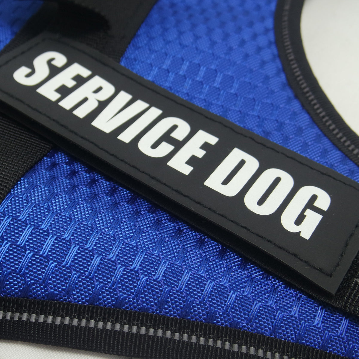Custom Pet Harness