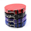 Lengthened Pet Leash