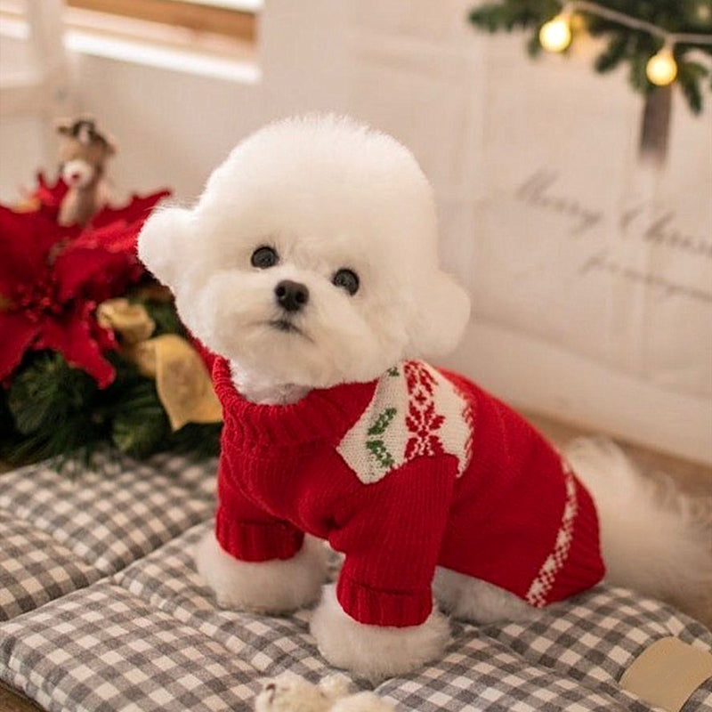 Dog Knitted Sweater Vip Schnauzer