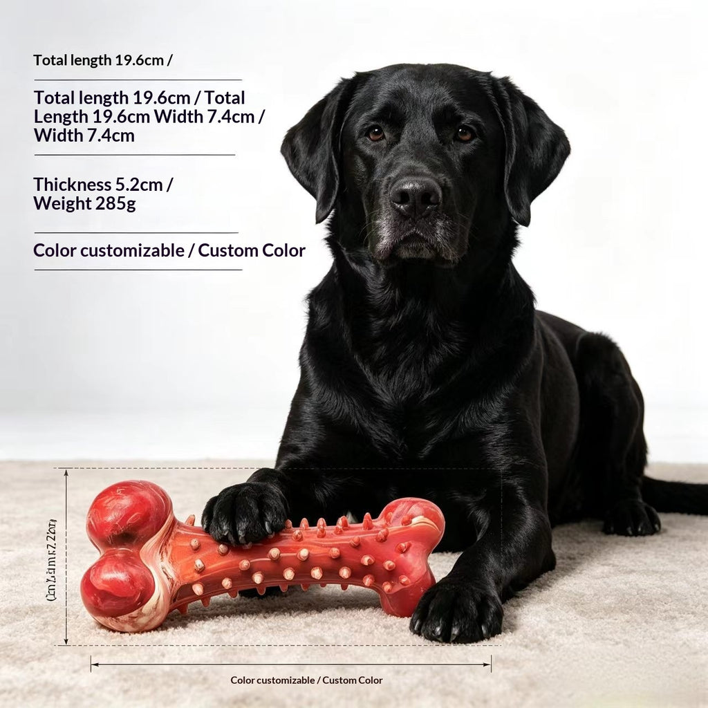 Large Rubber Toothbrush Bone Chew Toy