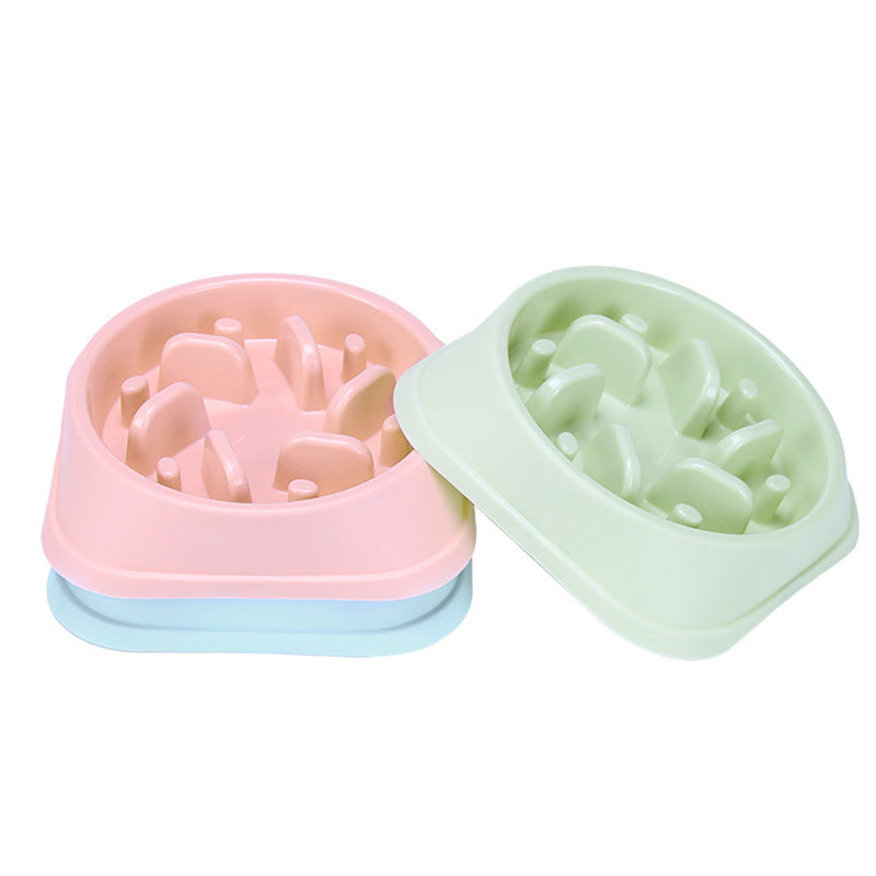 Slow Food Pet Bowl