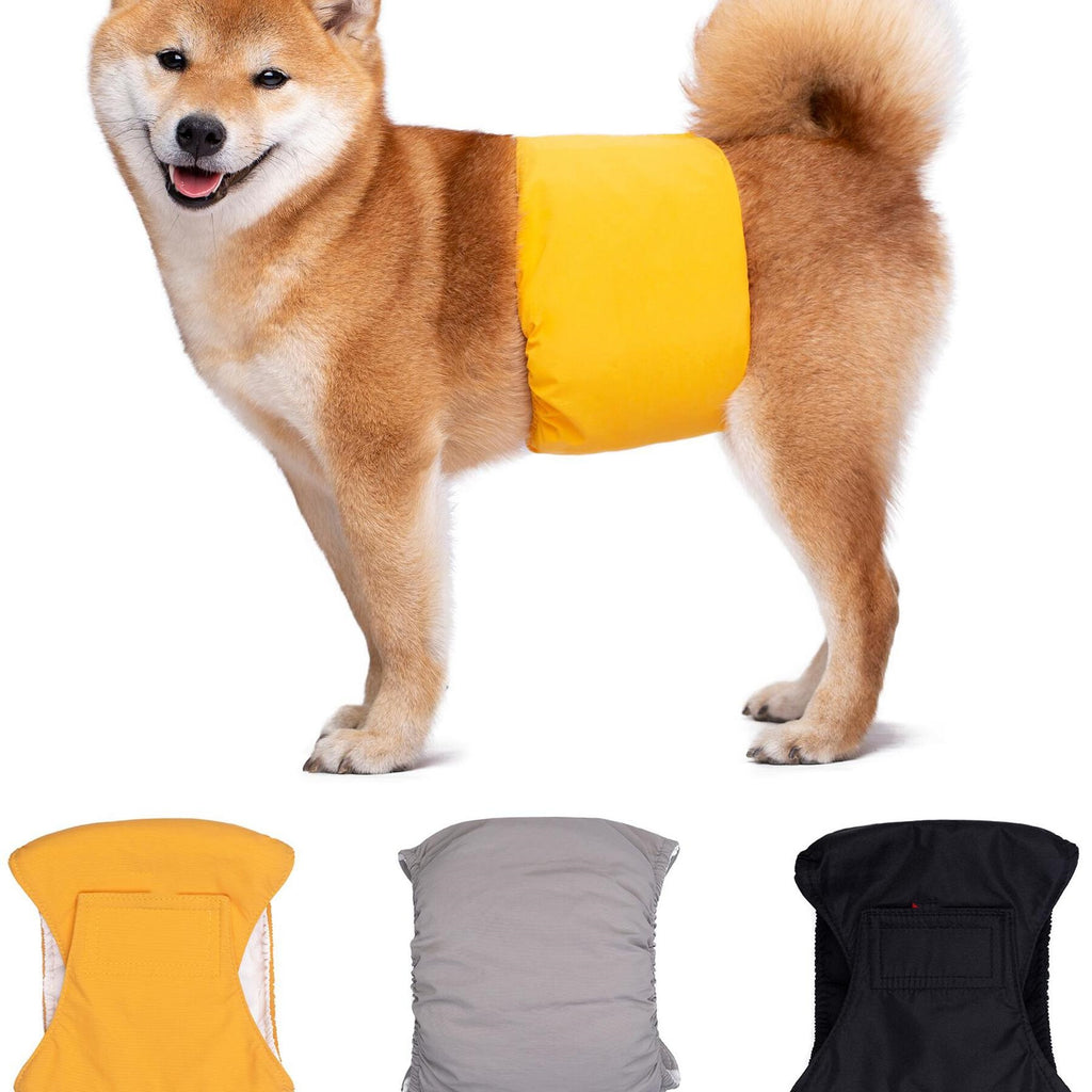 Dog Diaper Pants