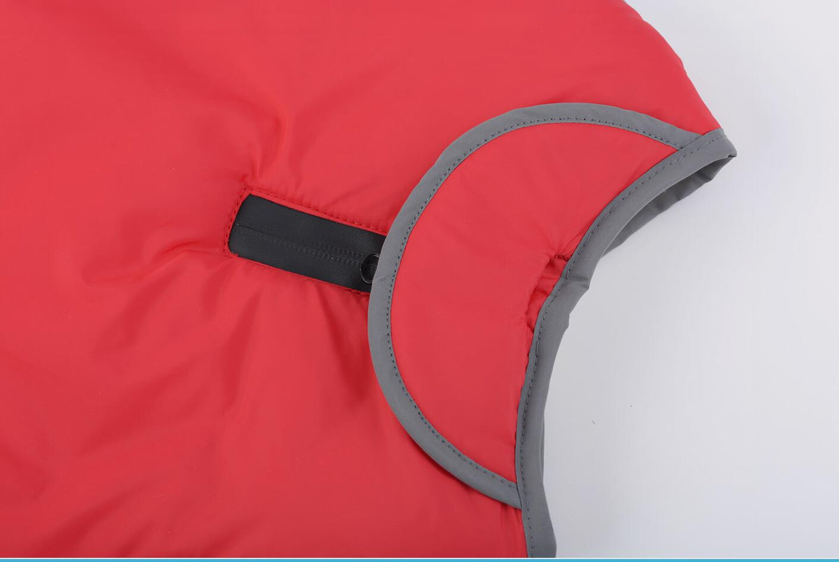 Lapel Pet Dog Autumn Cotton-Padded Coat