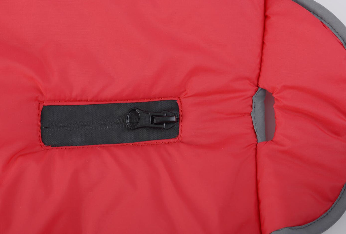 Lapel Pet Dog Autumn Cotton-Padded Coat