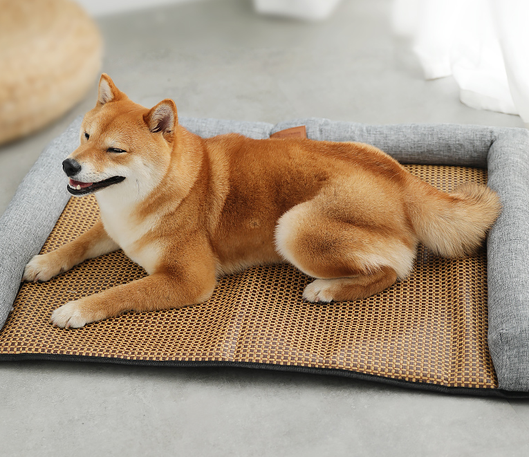 Summer Sleeping Mat