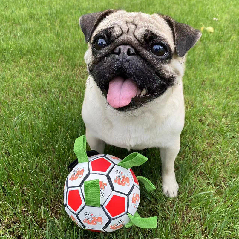 Dog Football Bite-Resistant Molar Bite-Resistant Toy
