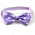 Polka Dot Ribbon Pet Bow Tie