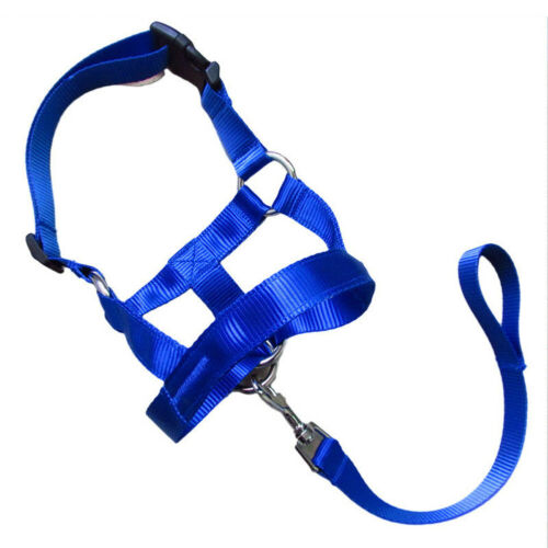 Dog Rushing Correction Leash Cover