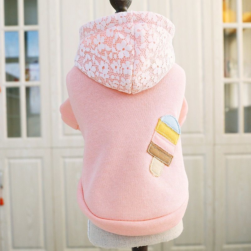 Teddy Clothes Plus Velvet Thick Hooded Sports Sweater