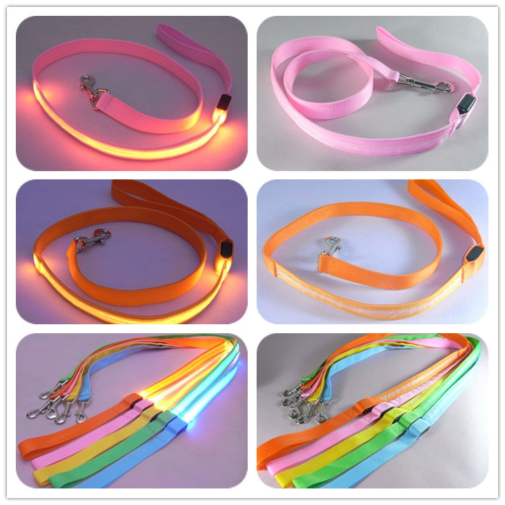 LED Illuminated Nylon Pet Leash