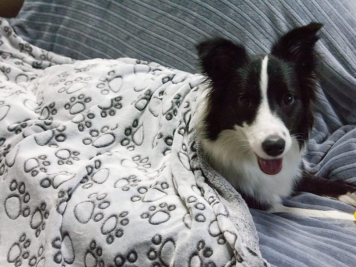 Flower Footprint Flannel Dog Blanket