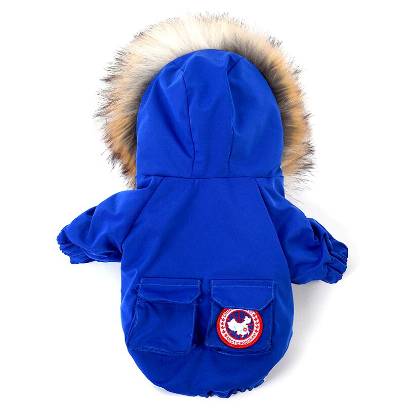 Pet Dog Clothes and Hat