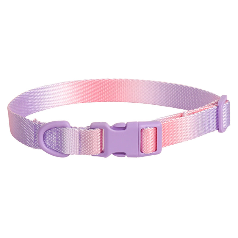 Large Anti-Rust Gradient In Dog Collar