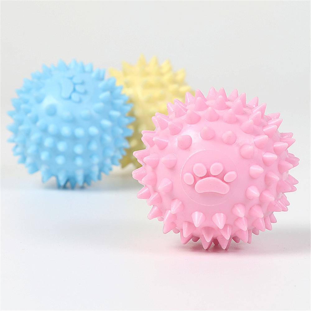 Tpr Pet Molars Interactive Toy