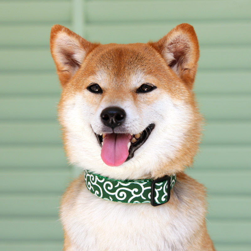 Tang Grass Pattern Collar
