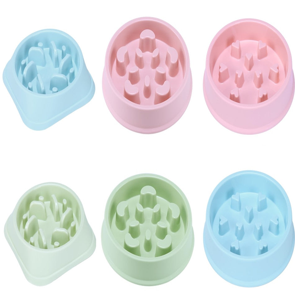 Anti Choking Slow Feeding Pet Bowl