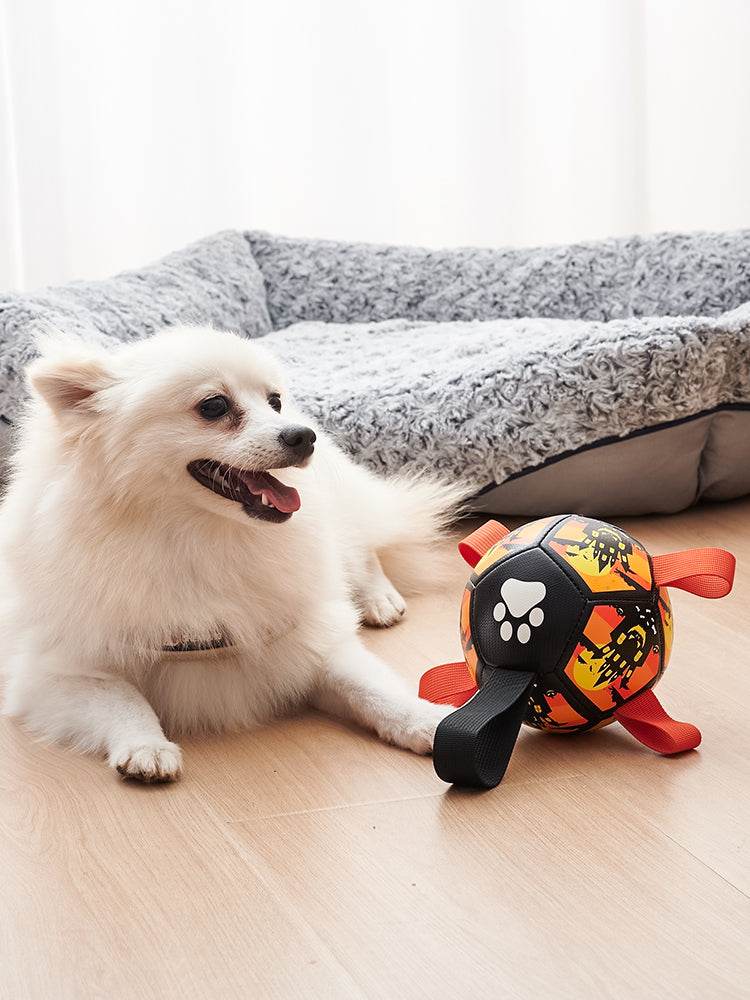 Dog Soccer Ball Toy